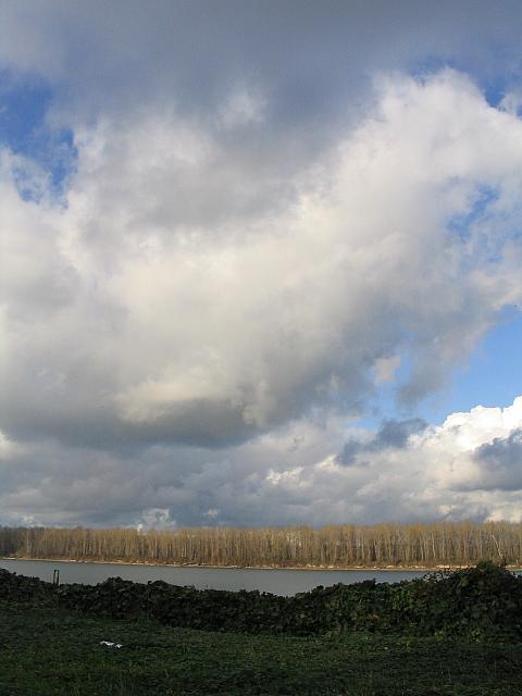 IMG 0526