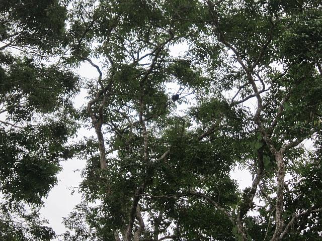 IMG 7133