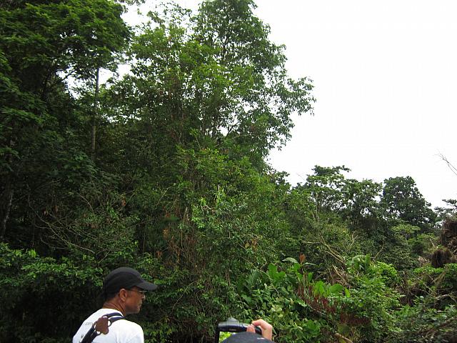 IMG 7160