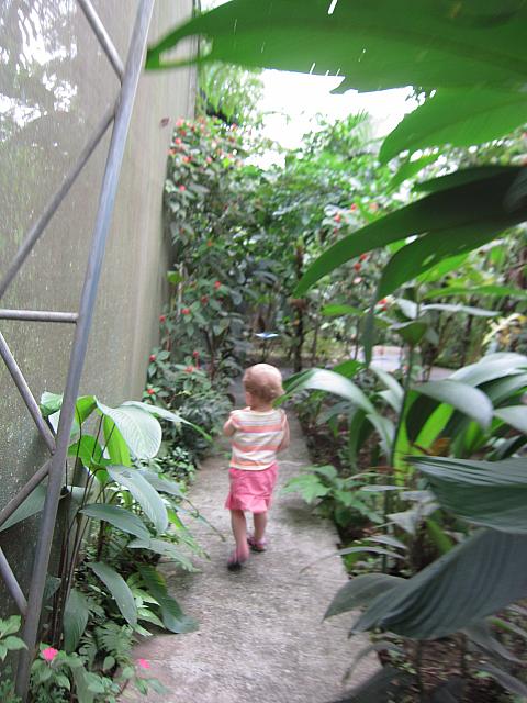 IMG 7426