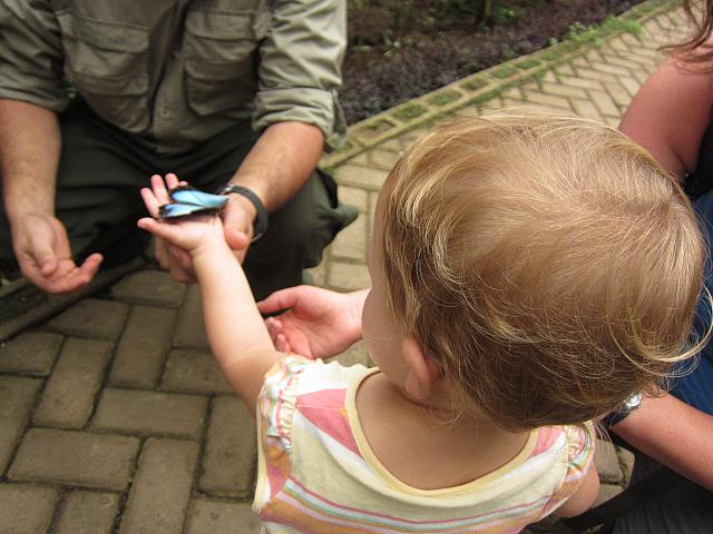 IMG 7786