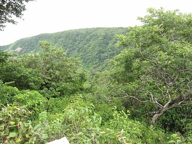 IMG 7899