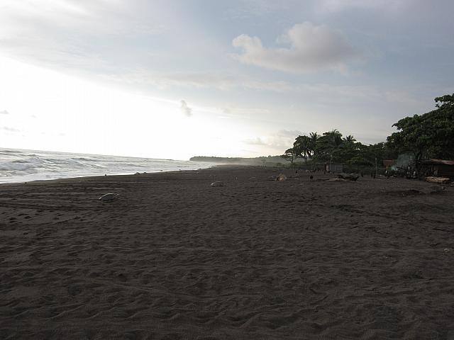 IMG 8259