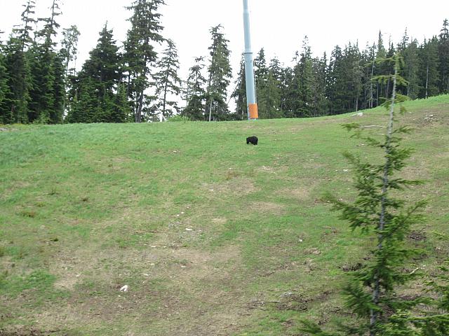 IMG 4540