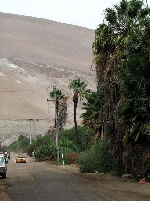 AZ029