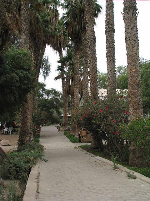 AZ030