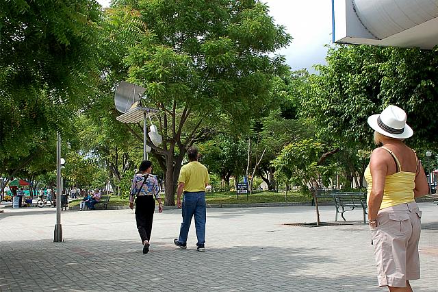 DSC 0024