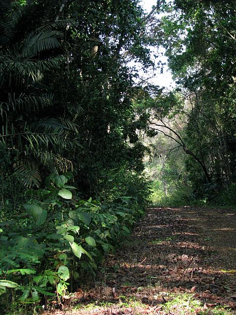 IMG 2065