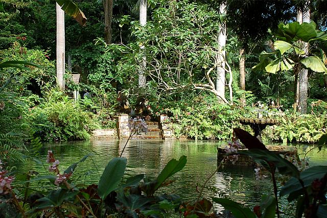 DSC 0005