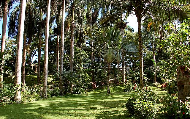 DSC 0008