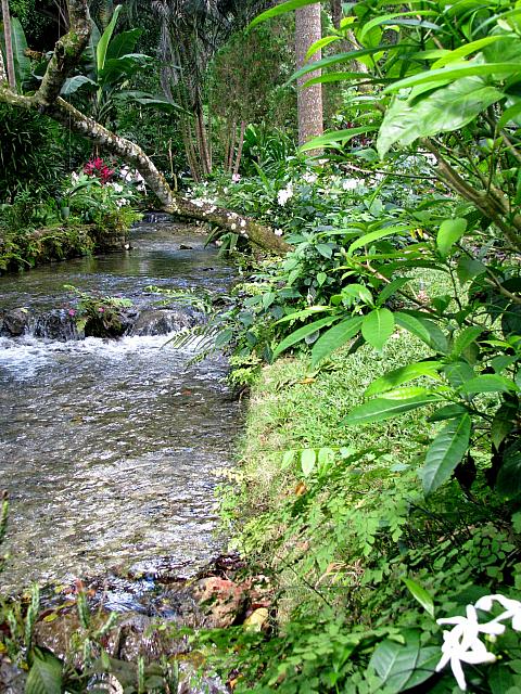 IMG 2322