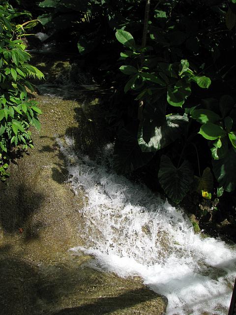 IMG 2349