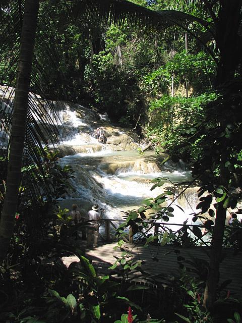 IMG 2353