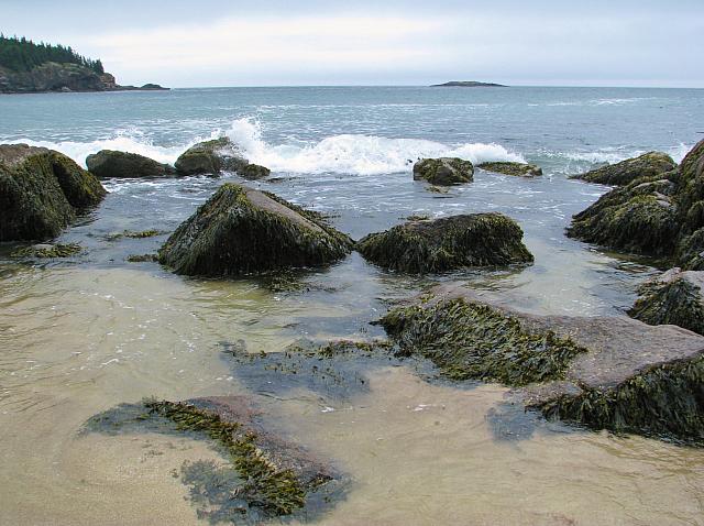 201107 116