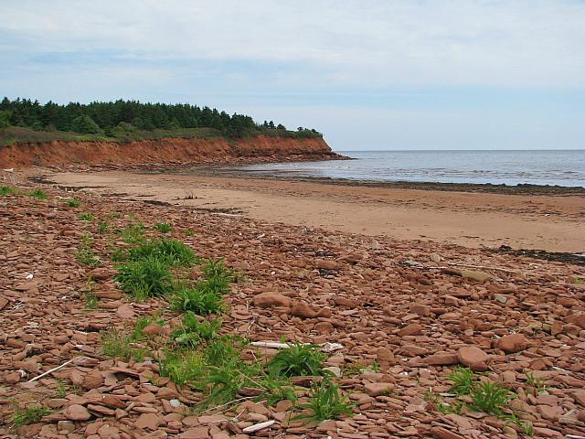 201107 583