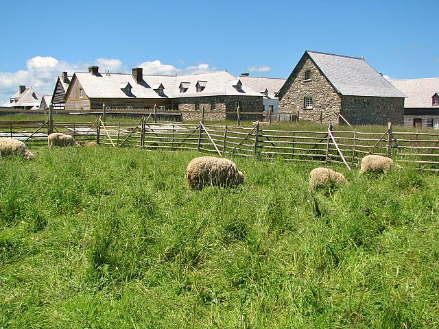 201107 517