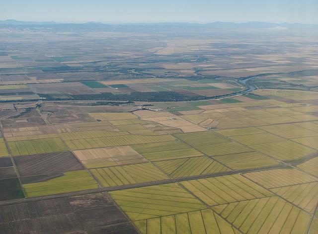 Rice paddies & Sacramento River