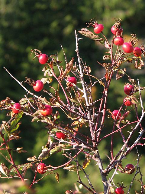 201110 051