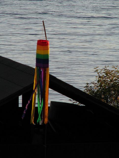 201110 065