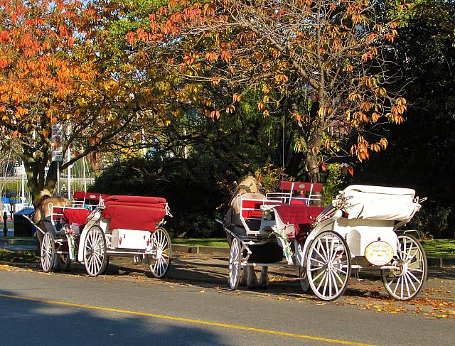 201111 032
