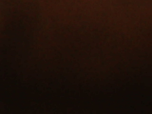 IMG 0111