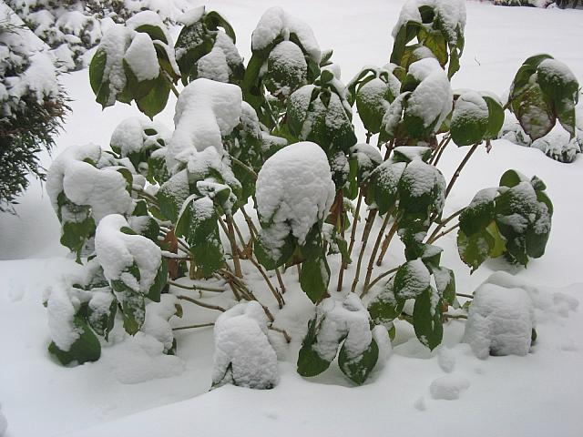 201202 005