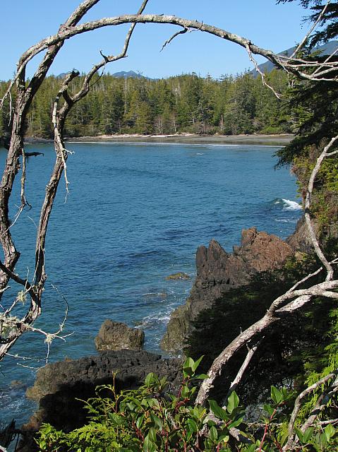 201203A 050