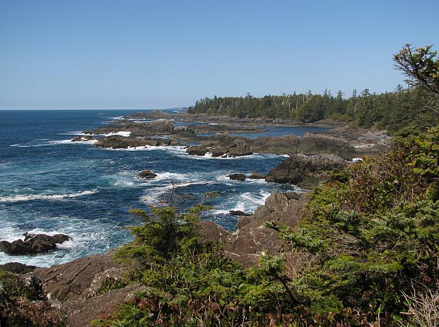 201203A 085