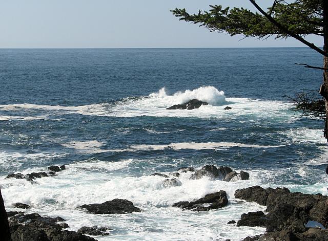 201203A 096