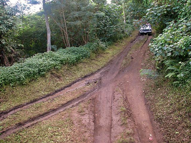 Riding the ruts