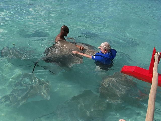 Stingray encounter