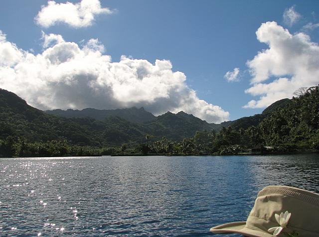Taha'a