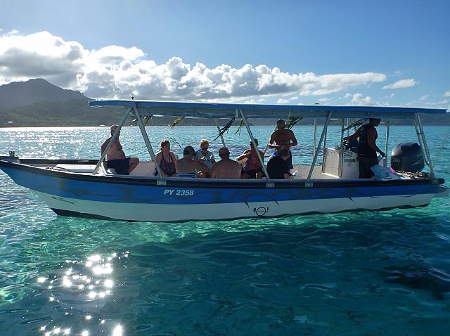 Searching for stingrays