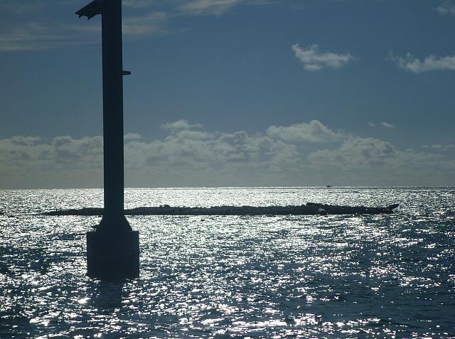 Coral & warning marker