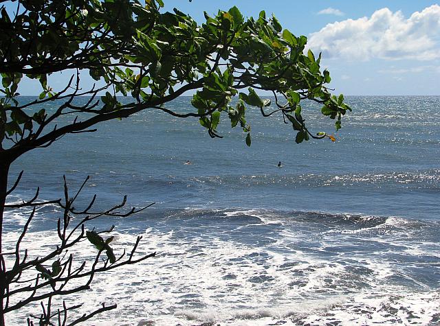 Ocean with surfers