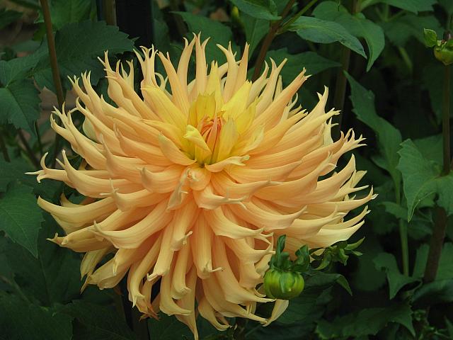 201208 005