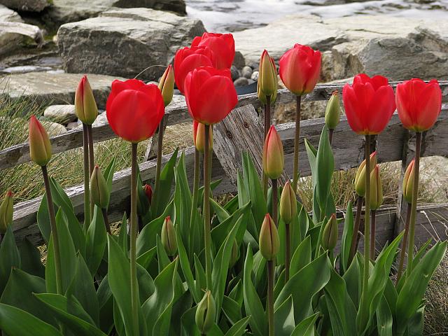 201304 023