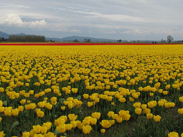 201304 038