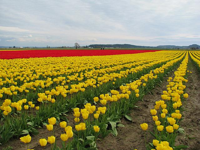 201304 041