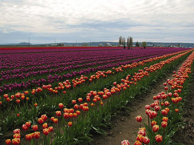 201304 065