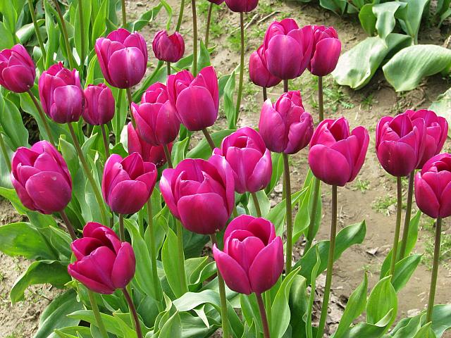 201304 069
