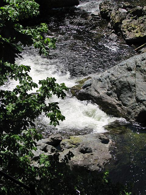 201306 068