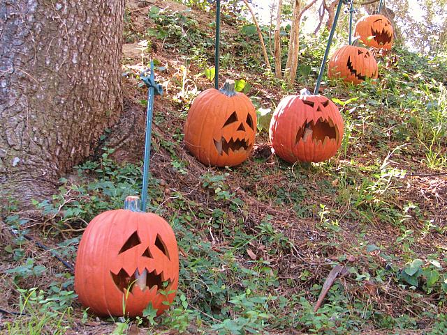 201310 156