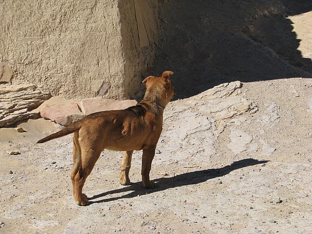 201310SW 093