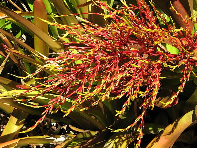 201312HawaiiA 172