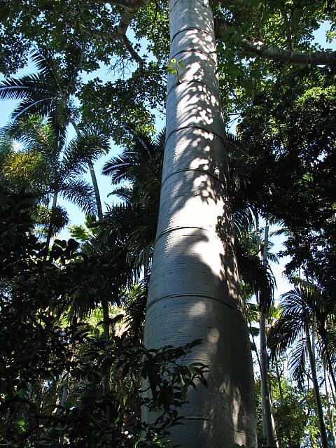 201312HawaiiA 213