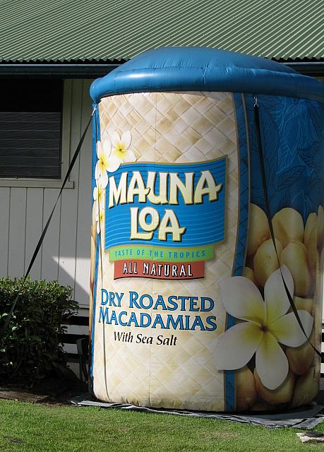 201312HawaiiA 487