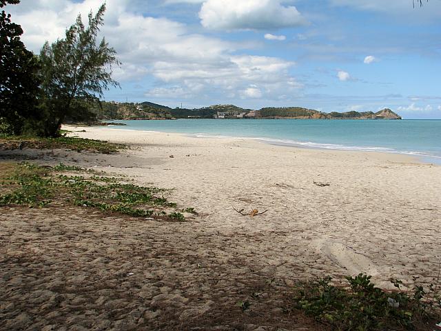 201402Carib 1037