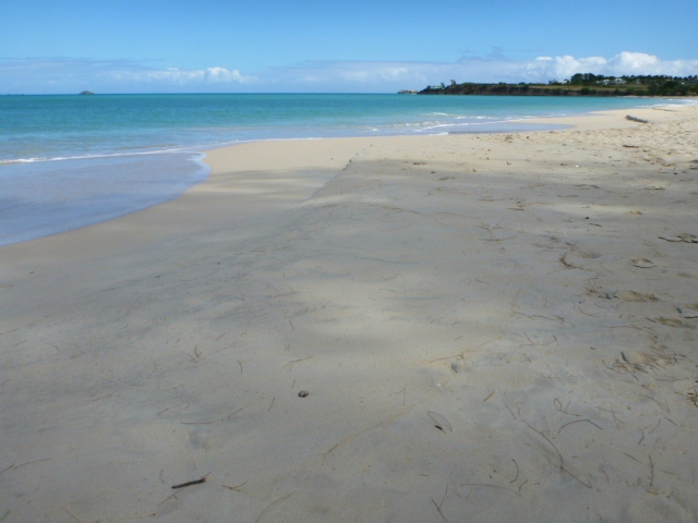 201402CaribK 421