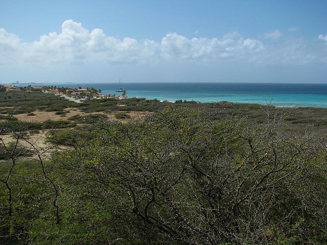201402Carib 497